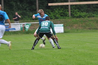 开云官方网页登录-天津津门虎残阵抗衡山东泰山,末轮为阻击上海申花留力,天津津门虎最新赛程