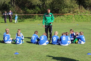 开云官方网页登录-天津津门虎残阵抗衡山东泰山,末轮为阻击上海申花留力,天津津门虎最新赛程